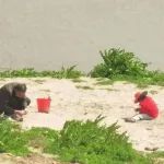 老人失足落水，男子砸玻璃拿救生圈被保安纠缠赔钱，致老人溺亡