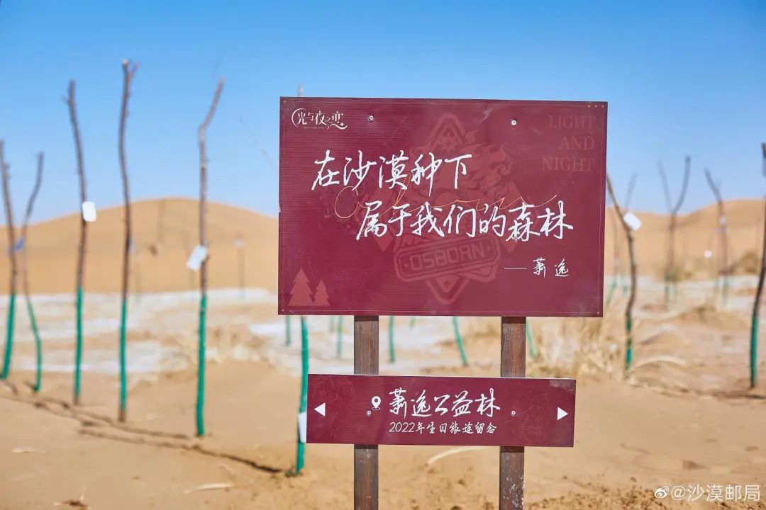 光与夜之恋