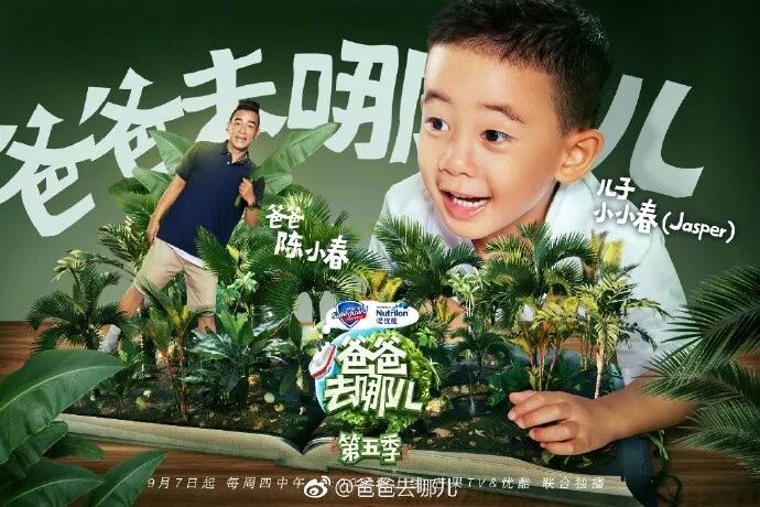 董大力爸爸去哪儿 《爸爸去哪儿5》收官，我们给它做了个最全总结