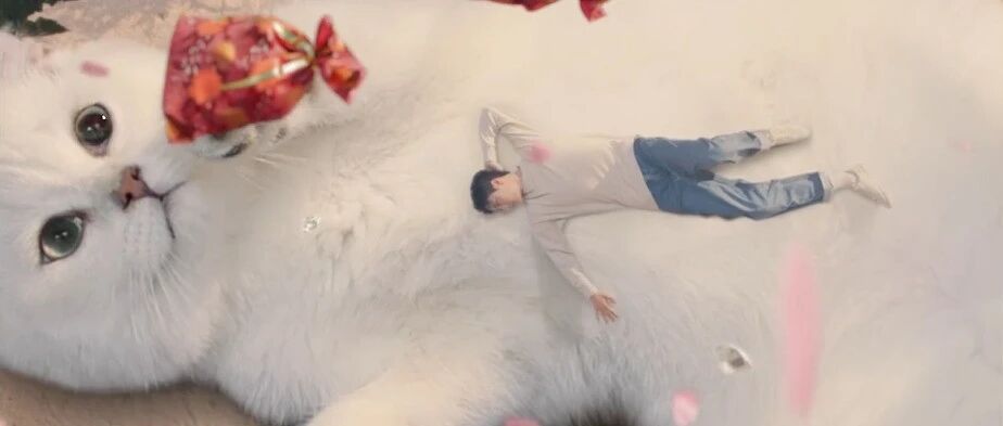 滴滴×萌猫演绎反差萌，喵喵节背后的营销逻辑是什么？