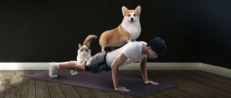 超亿次曝光，超百万人打卡，冠能人宠互动健身课火出圈了！