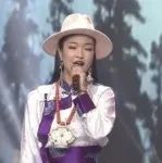 一首新歌《神秘的西藏》，火了！