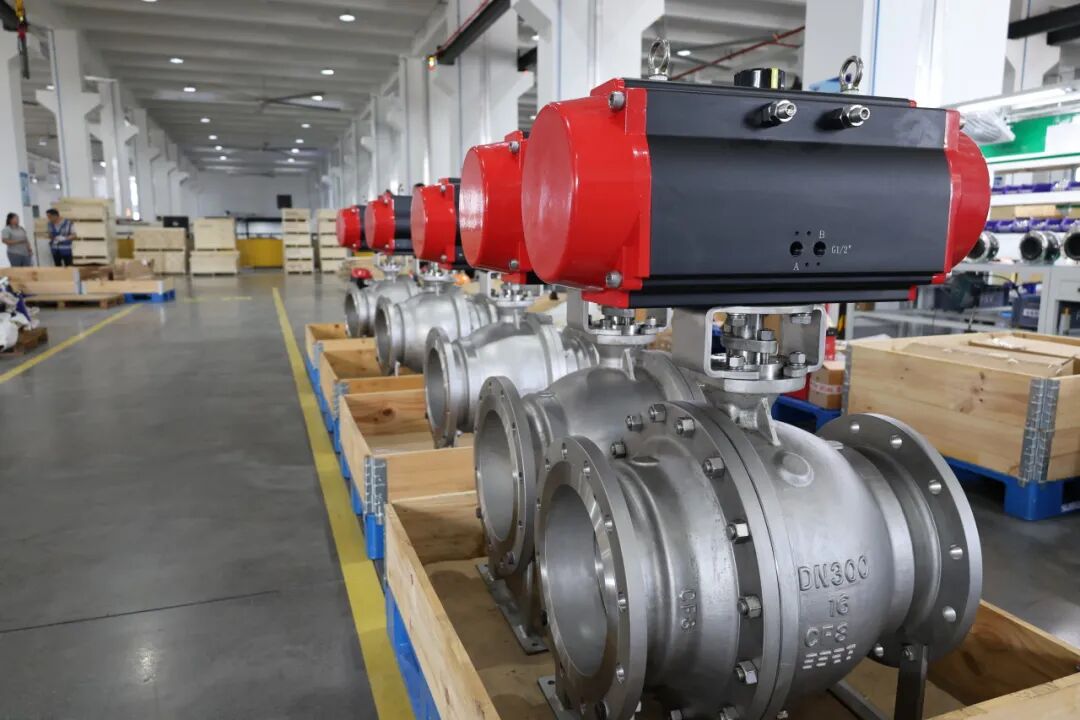 原特种设备高级检验师张幼德老师莅临法登阀门参观指导