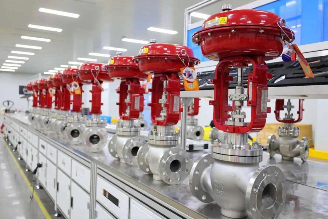 原特种设备高级检验师张幼德老师莅临法登阀门参观指导