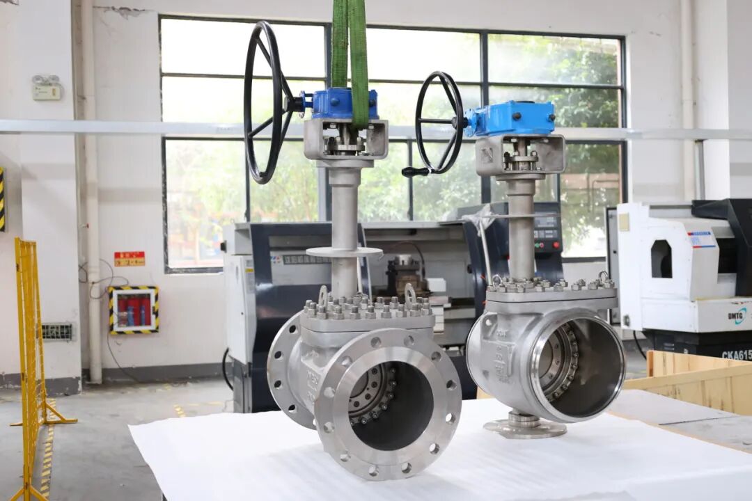 原特种设备高级检验师张幼德老师莅临法登阀门参观指导