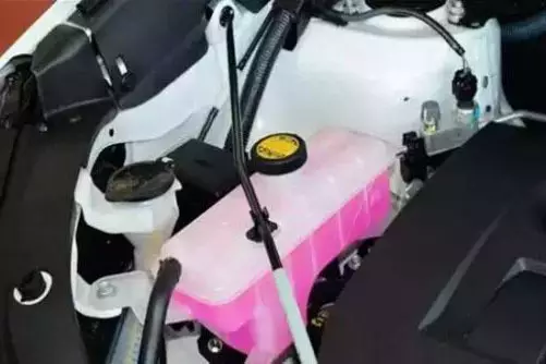 登录查看大图