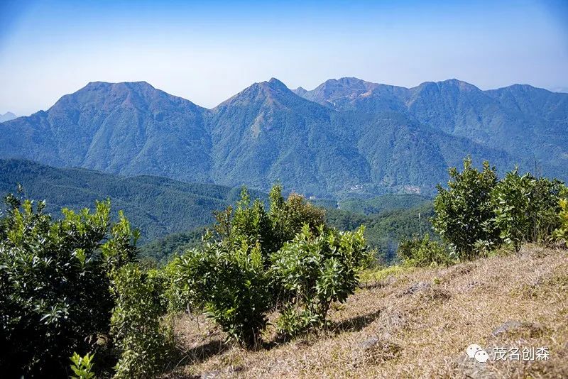 層巒疊翠的什么_意思疊翠層巒的詩(shī)句_層巒疊翠的意思