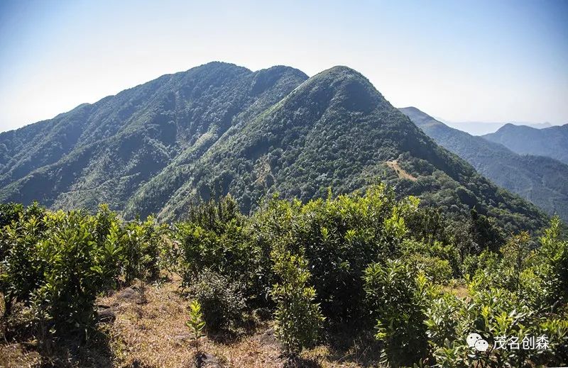 層巒疊翠的意思_層巒疊翠的什么_意思疊翠層巒的詩(shī)句