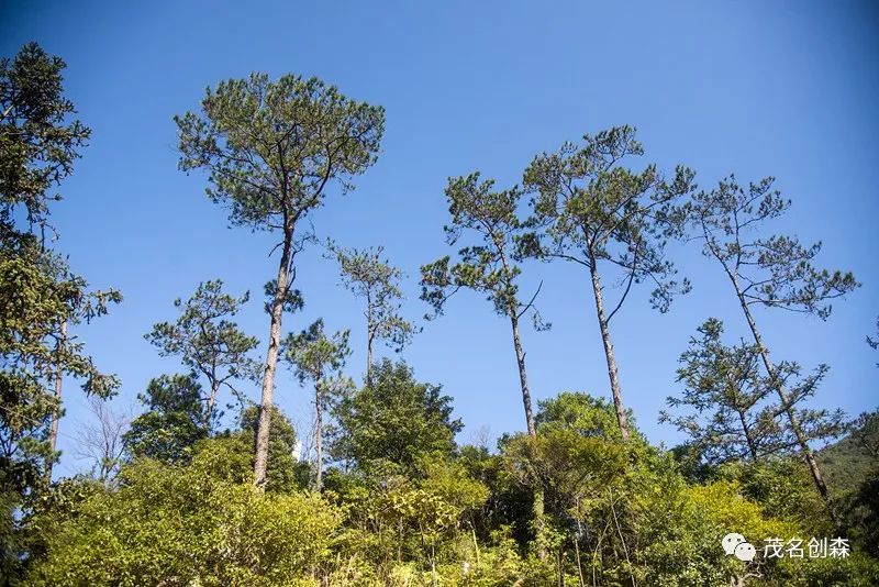 意思叠翠层峦的诗句_层峦叠翠的什么_层峦叠翠的意思