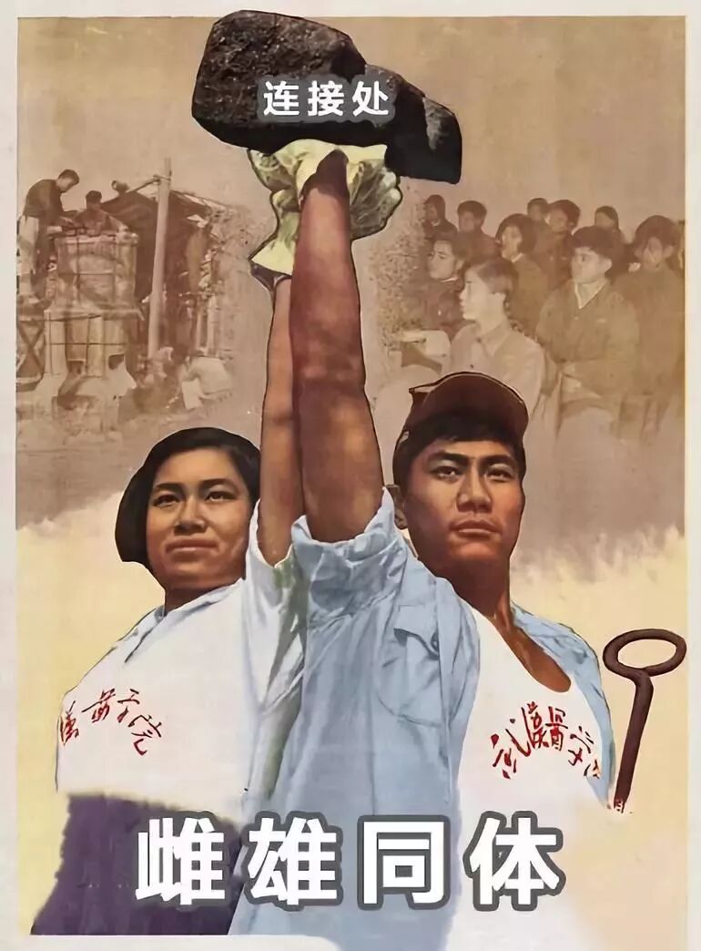 单身女子生存图鉴