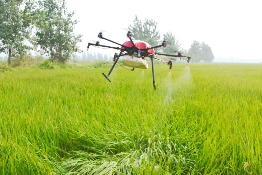 适合农村创业的小项目有哪些啊_农村创业项目大全小本创业_适合农村的创业项目