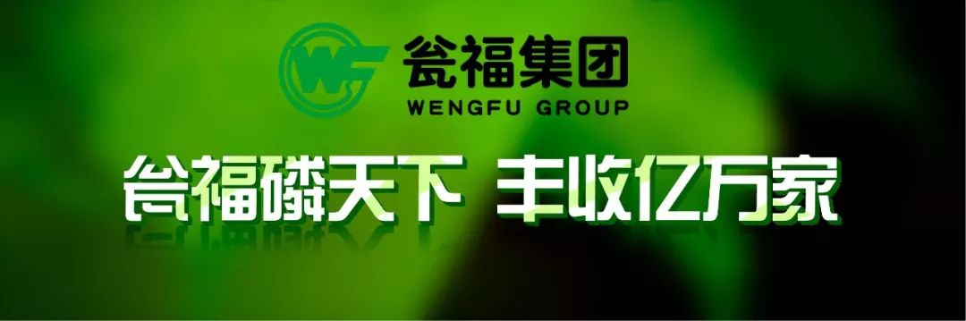 適合農(nóng)村小本創(chuàng)業(yè)的6個新項目