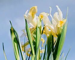 老狼老狼几点了游戏玩法及规则_记忆重构差不多的游戏_户外游戏老狼老狼几点了