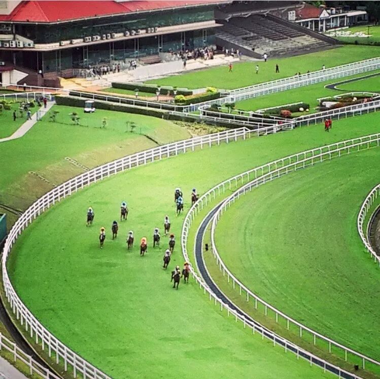 只需几万块就圆你在大马拥有共享房源当民宿股东的梦 马来杨子 微信公众号文章阅读 Wemp