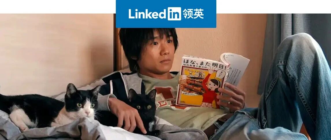 一线空巢青年一边吸猫，一边跟他们学会了幸福哲学