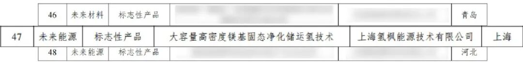 氢枫入选工信部2024年未来产业创新发展优秀典型案例-1.jpg