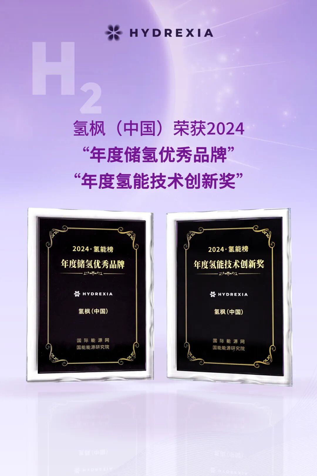 氢枫(中国)荣获2024年度储氢优秀品牌年度氢能技术创新奖.jpg