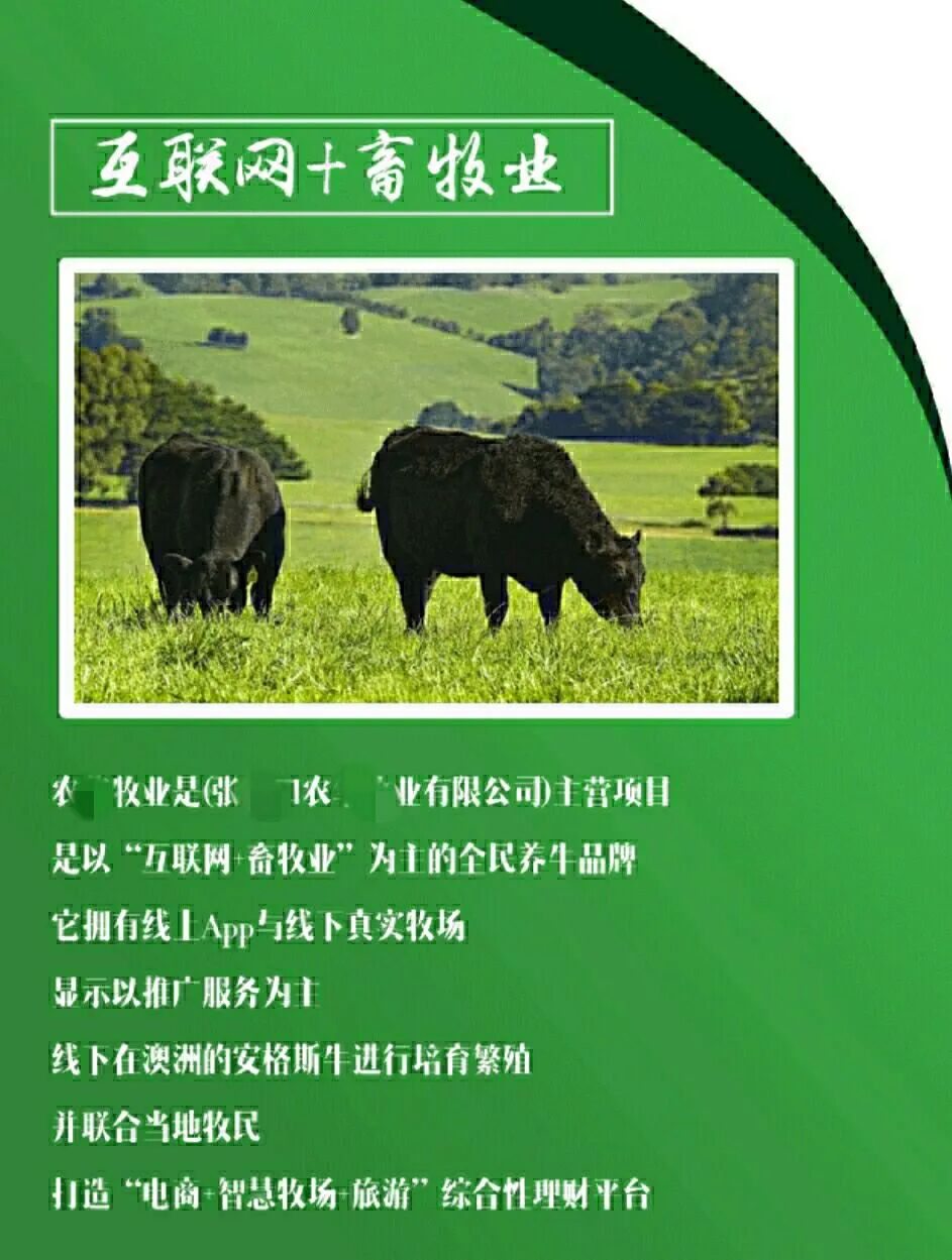 雷米雷蒙县云养鸡App大骗局：你误以为他们是巴戟，只不过你是牛栓藤(图4)