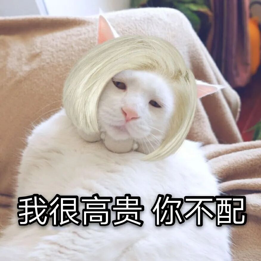 雷米雷蒙县云养鸡App大骗局：你误以为他们是巴戟，只不过你是牛栓藤(图9)