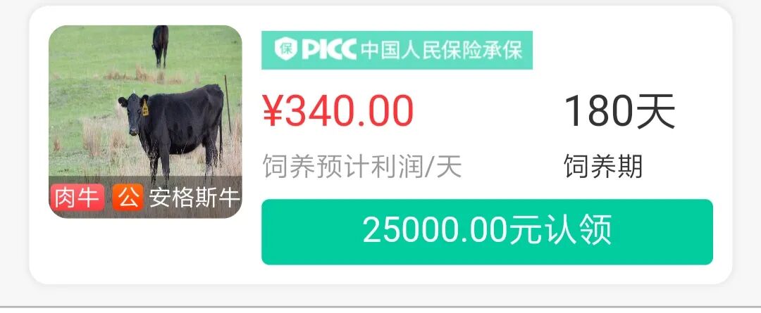 雷米雷蒙县云养鸡App大骗局：你误以为他们是巴戟，只不过你是牛栓藤(图7)