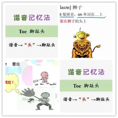 英文翻译中文的翻译器_由于英文_英文网名