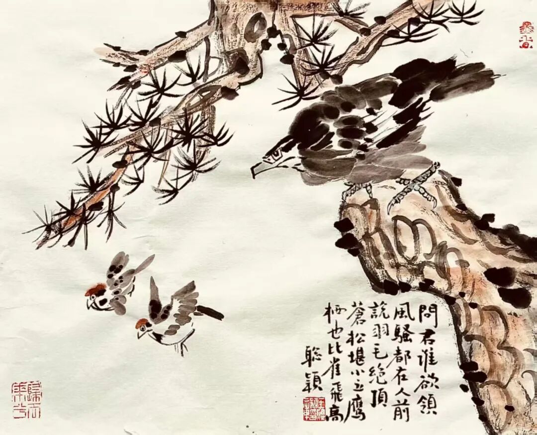 图片