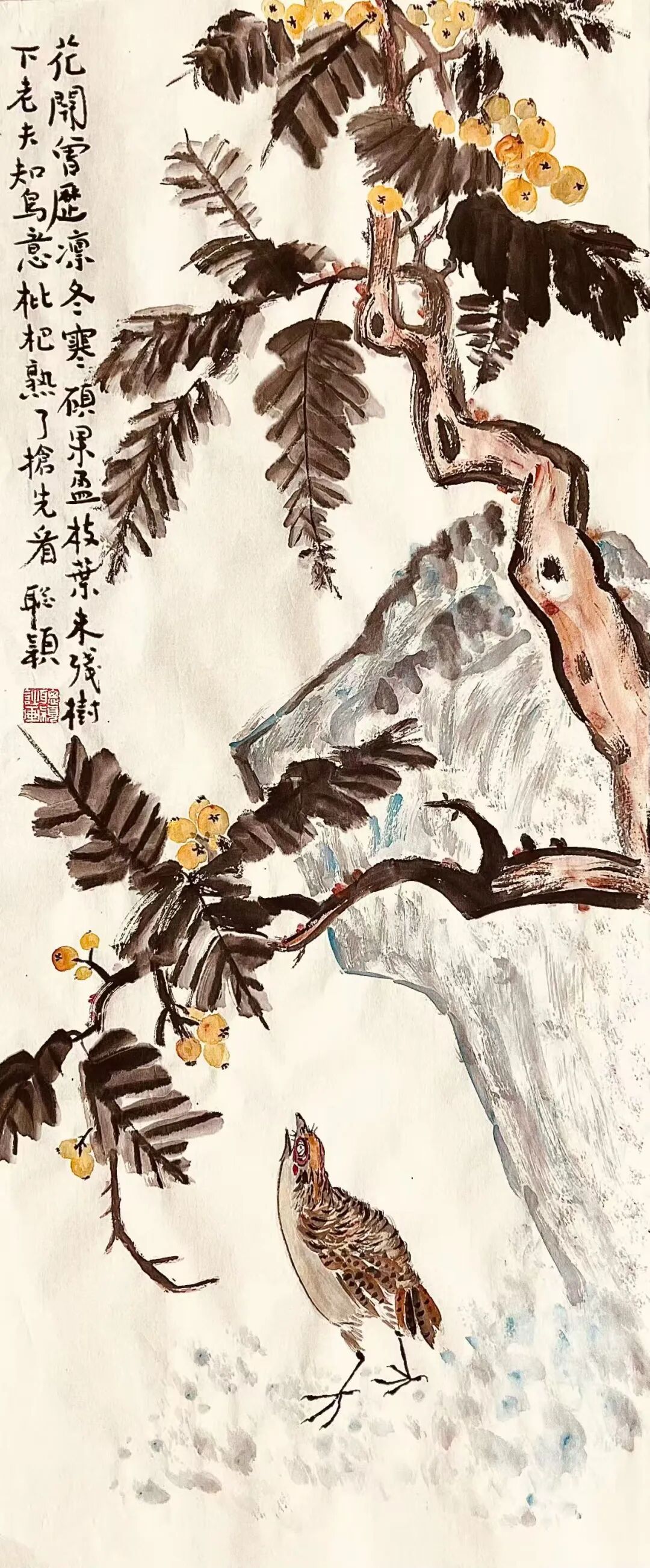 图片