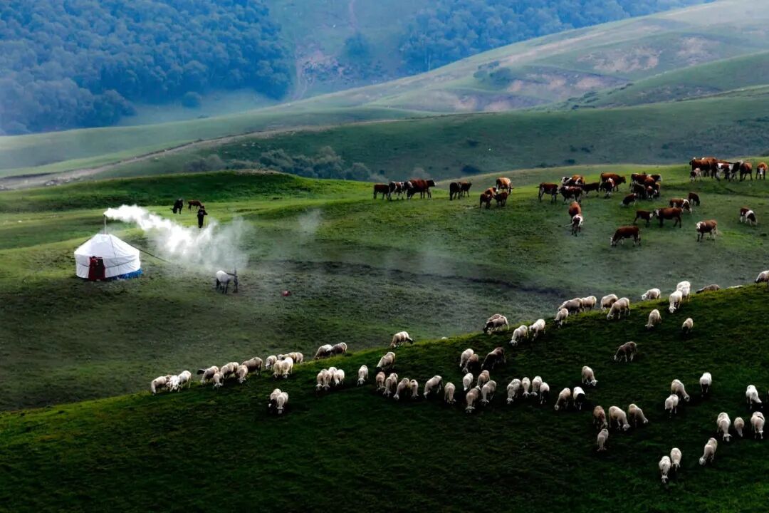 从“总要来一次草原”开始，走进乌兰察布的夏天-新闻中心-内蒙古新闻网