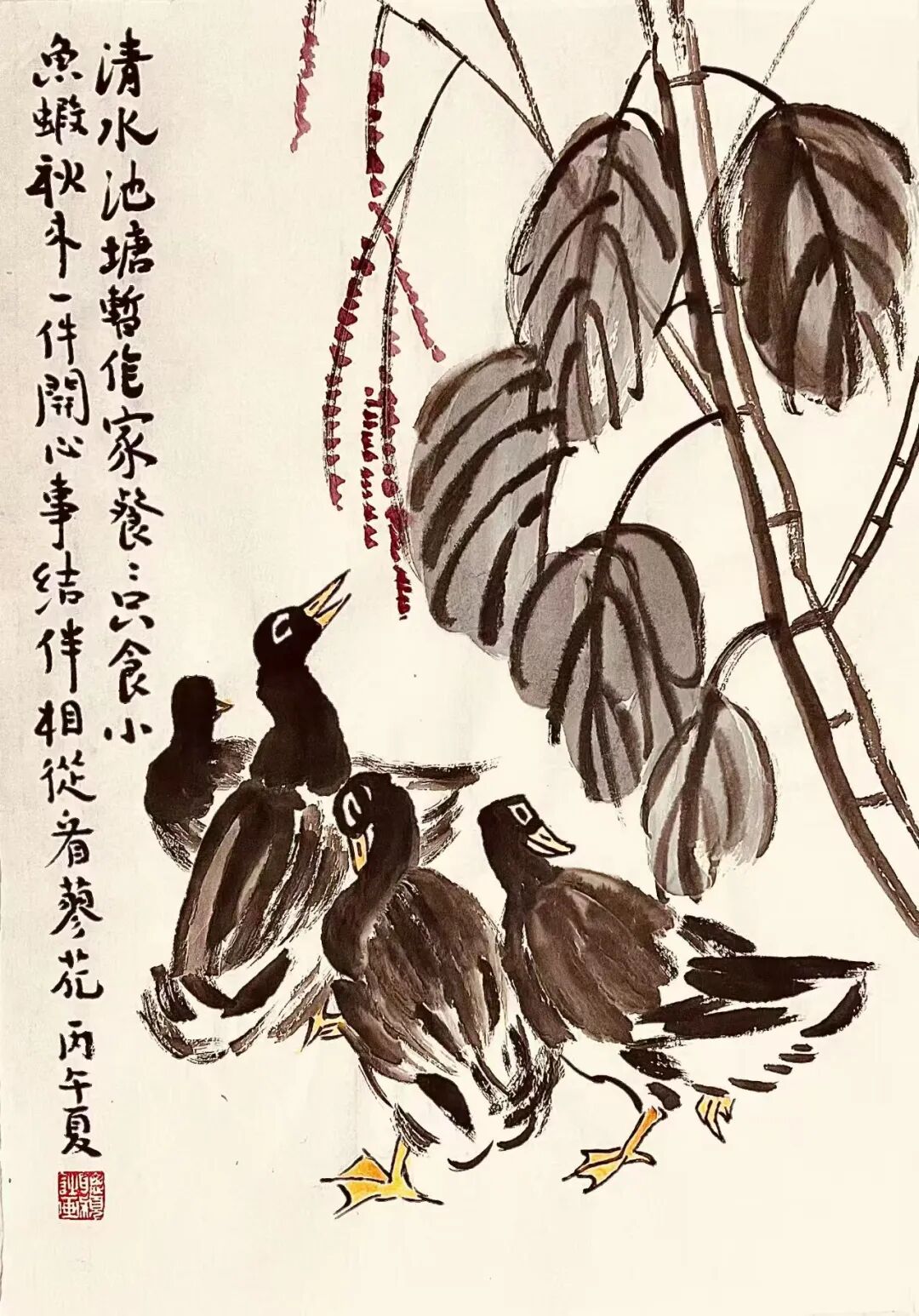图片