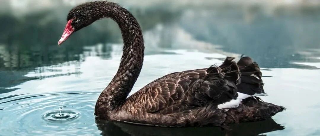 美股会二次崩盘吗？5大风险因素投资者须注意