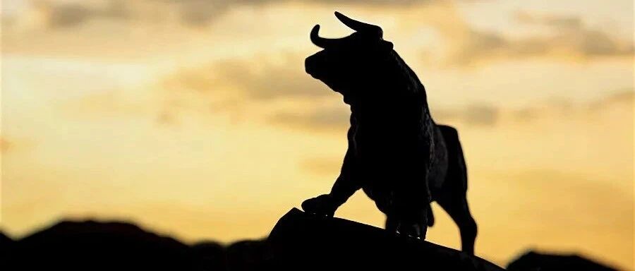 摩根士丹利：美股新牛市不同以往，周期性股票将成领导者（附股）