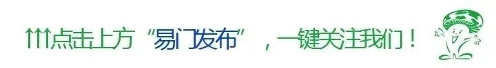 2024年06月11日 易门天气