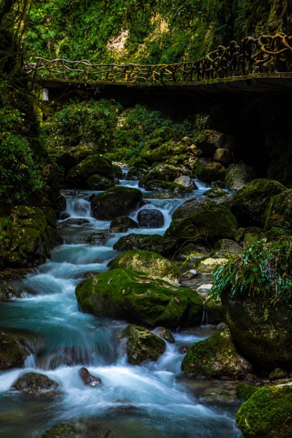 巴山大峡谷桃溪谷景区图片