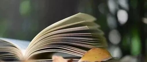 重磅！高考新增一门学科，已开始实施！全网“炸”了...