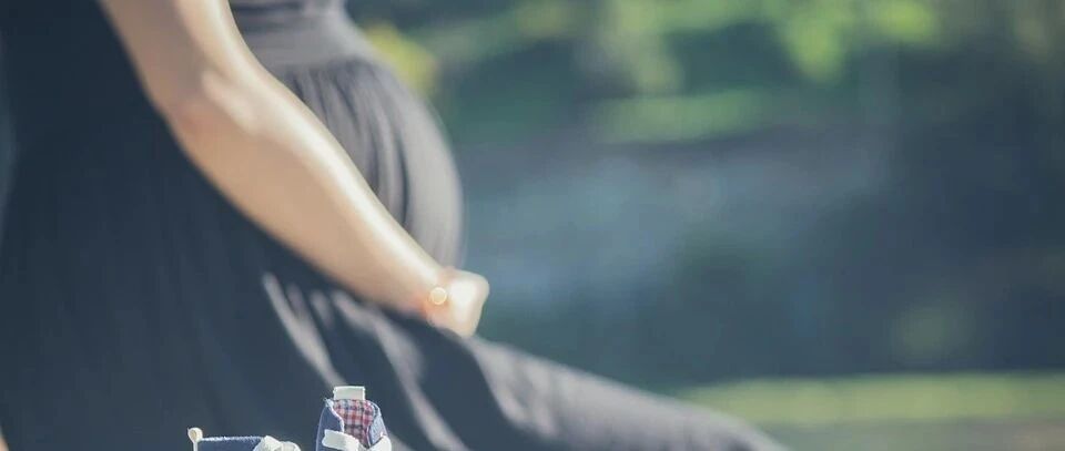 “童话大王”郑渊洁：我就是代孕的产物…