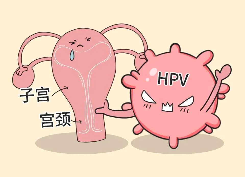 hpv筛查阳性还能接种宫颈疫苗吗