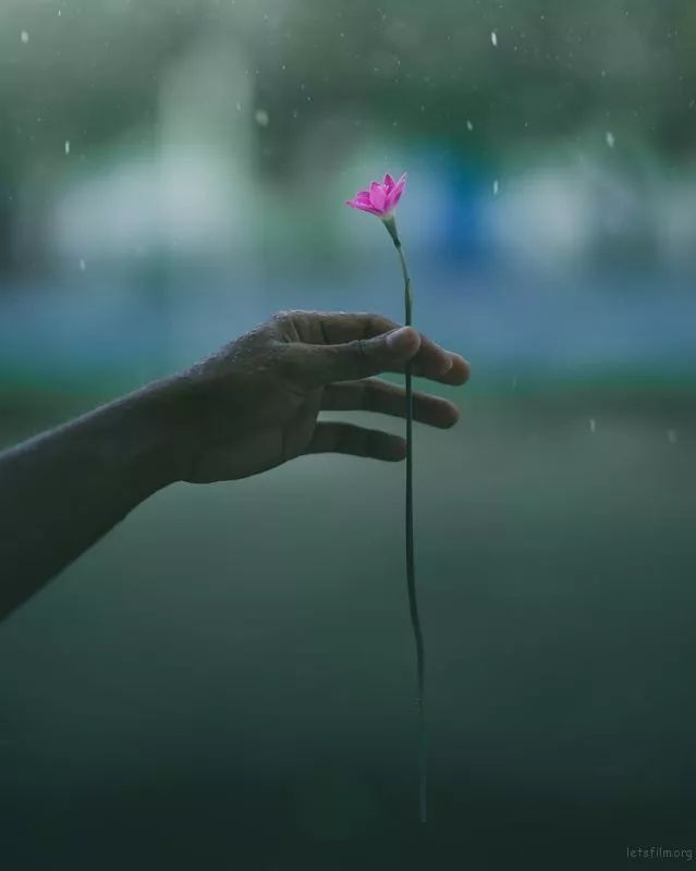 



雨天也是拍照天
