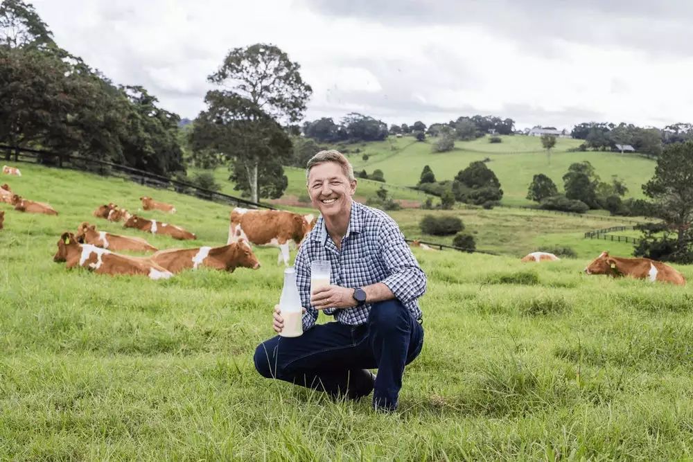 澳大利亚发明新食品灭菌技术 无需加热使牛奶冷藏保鲜90天