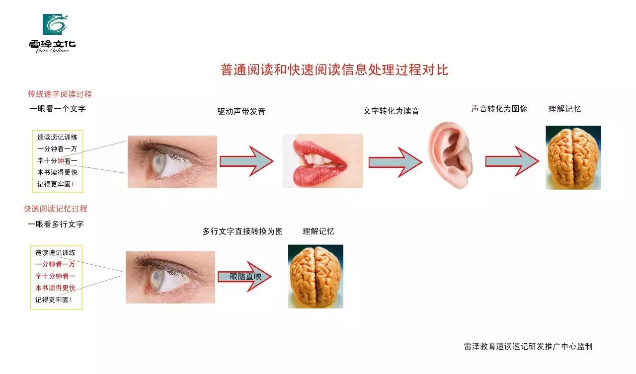 什么？快速阅读已纳入高考大纲？！听说你家孩子还没学？