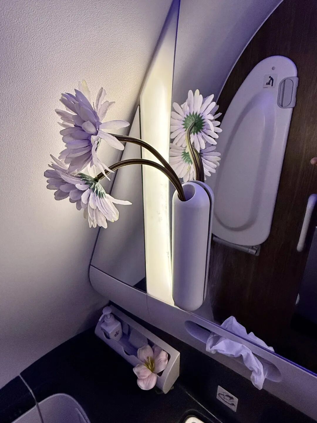 深圳飞上海吉祥航空B787-9商务舱体验 Bulkhead座位脚垫宽敞 1800元现金票
