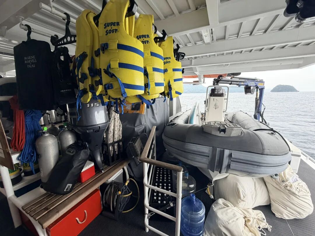 帕劳四季探索者号3晚7次浮潜船宿体验 含全包服务与预订建议