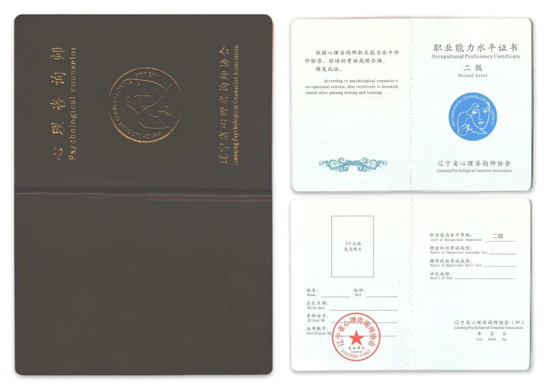 2024 ｜ 辽宁省心理咨询师-最后一次考试机会