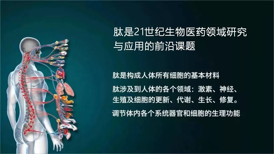 肽科普 | 肽与诺贝尔奖的不解之缘