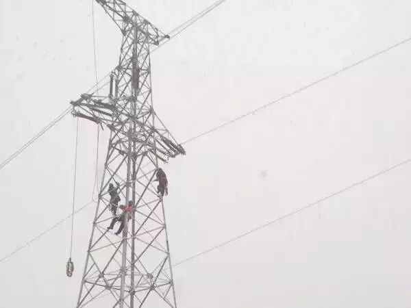 如何判断电力铁塔的电压？的图8