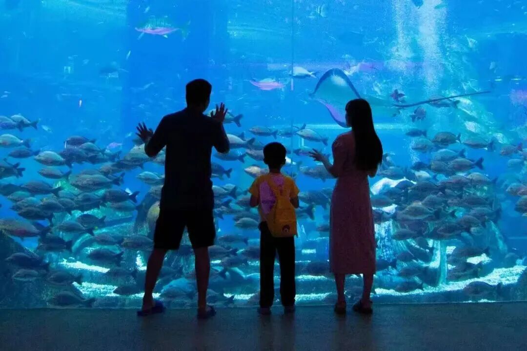 86300f051dad544943267b9eecc7b029.jpg