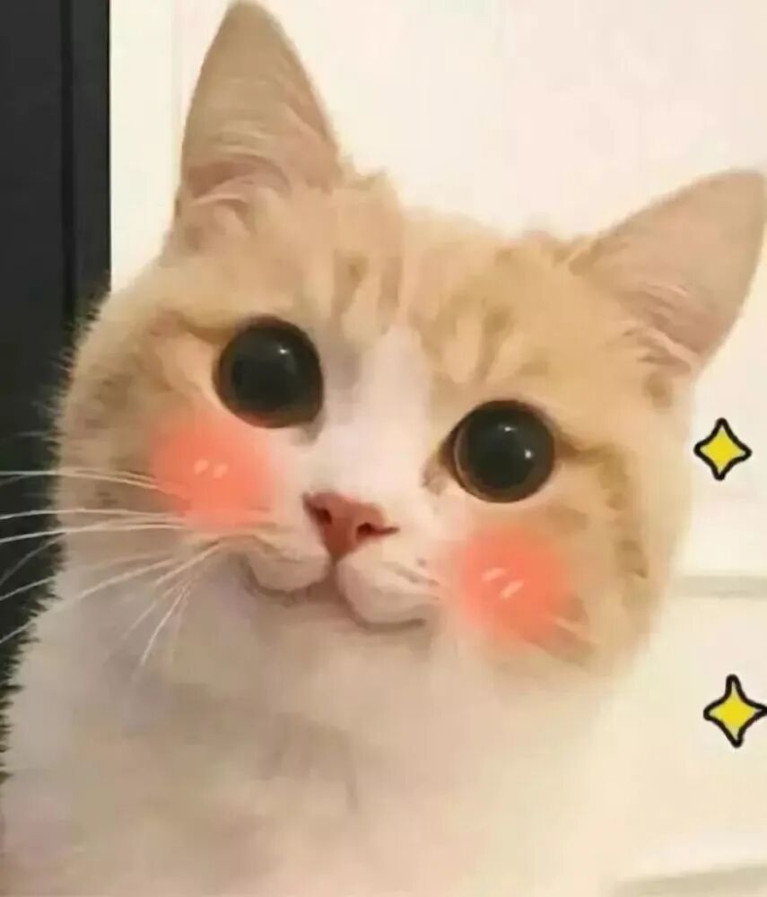 盆腔炎治疗仪是什么盆腔炎、输卵管阻塞克星来了！斗门妇幼引进永磁旋振治疗仪_https://www.jmylbn.com_新闻资讯_第10张