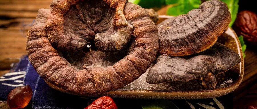 灵芝、当归这样炖，适合男性饮酒熬夜、女性经期后养生