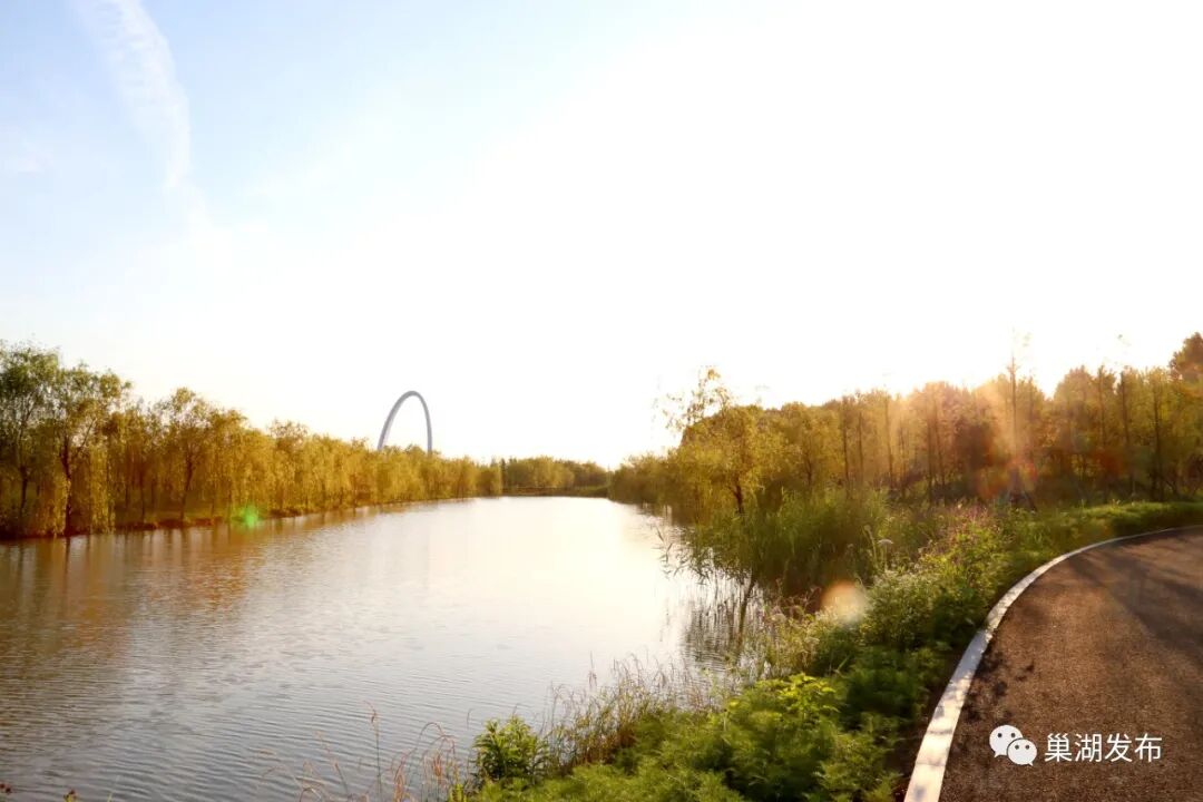 如诗如画的巢湖槐林省级湿地公园