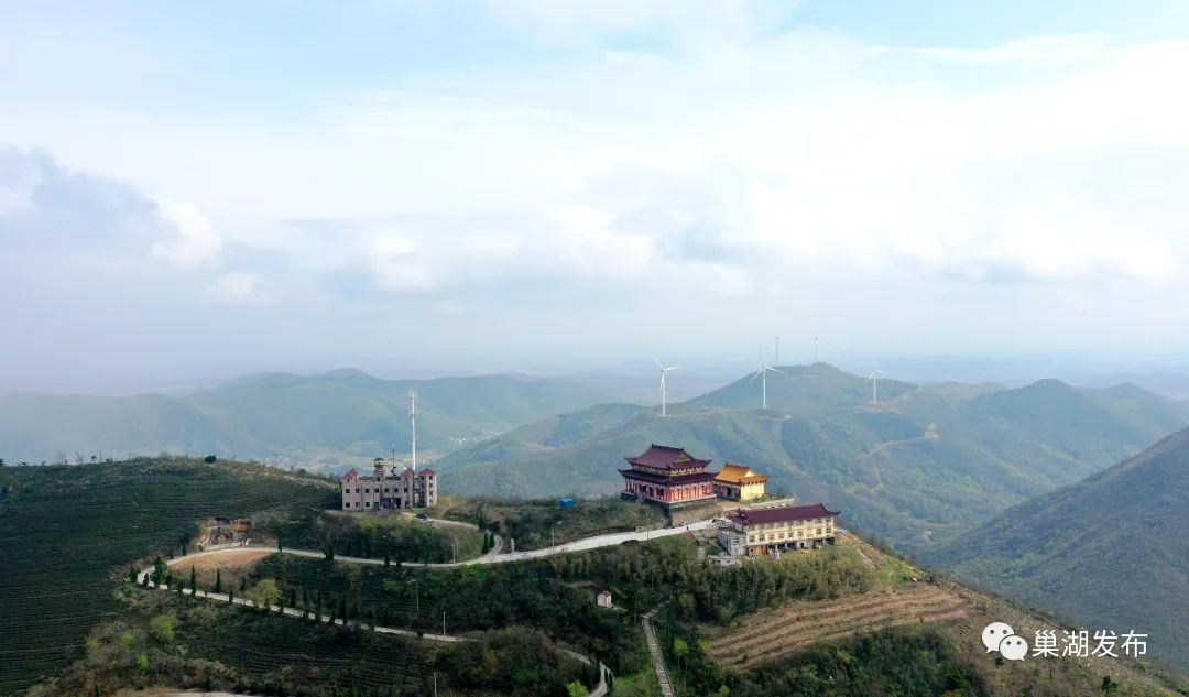 花開幾朵巢湖銀屏山千年牡丹含苞待放