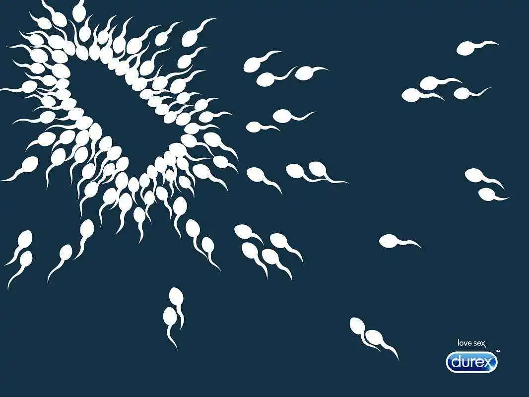 点击查看源网页